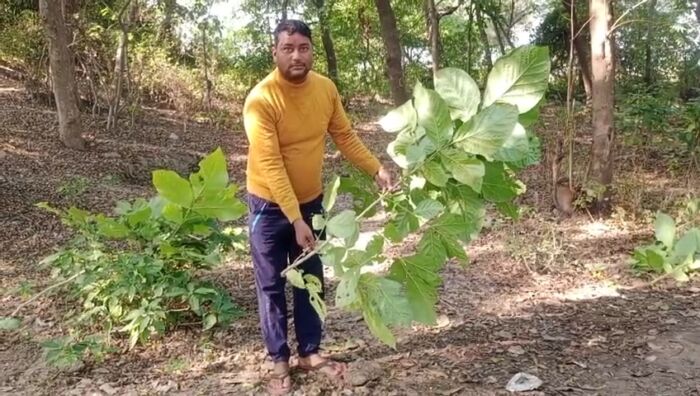 IMG_20231204_17381996