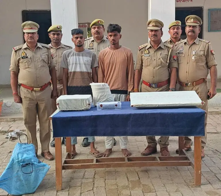 IMG-20250412-WA0979-768x684